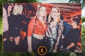 VIPERA - 26/11/2019