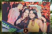 VIPERA - 26/11/2019