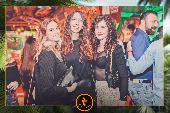 VIPERA - 26/11/2019