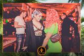 VIPERA - 26/11/2019