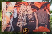VIPERA - 26/11/2019