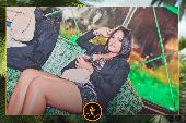 VIPERA - 26/11/2019