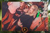 VIPERA - 26/11/2019
