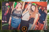 VIPERA - 26/11/2019