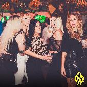 VIPERA - 26/11/2024