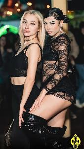 VIPERA - CULT TUESDAY - 27/01/2026