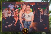 VIPERA - TROPICAL - 28/05/2019