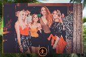 VIPERA - TROPICAL - 28/05/2019