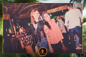 VIPERA - TROPICAL - 28/05/2019
