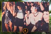 VIPERA - TROPICAL - 28/05/2019