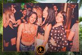 VIPERA - TROPICAL - 28/05/2019