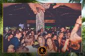 VIPERA - TROPICAL - 28/05/2019