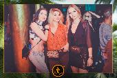 VIPERA - TROPICAL - 28/05/2019