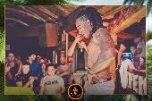 VIPERA - TROPICAL - 28/05/2019