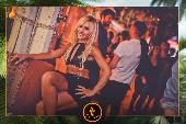 VIPERA - TROPICAL - 28/05/2019