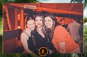 VIPERA - TROPICAL - 28/05/2019