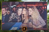 VIPERA - TROPICAL - 29/01/2019