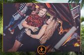VIPERA - TROPICAL - 29/01/2019