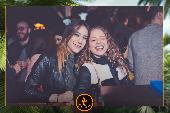 VIPERA - TROPICAL - 29/01/2019
