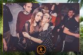 VIPERA - TROPICAL - 29/01/2019