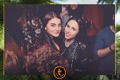 VIPERA - TROPICAL - 29/01/2019