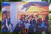 VIPERA - TROPICAL - 29/01/2019