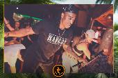 VIPERA - TROPICAL - 29/01/2019