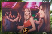 VIPERA - TROPICAL - 29/01/2019