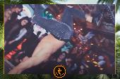 VIPERA - TROPICAL - 29/01/2019