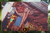 VIPERA - TROPICAL - 29/01/2019