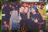 VIPERA - TROPICAL - 29/01/2019