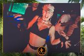 VIPERA - TROPICAL - 29/01/2019