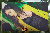 VIPERA - TROPICAL - 29/01/2019