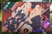 VIPERA - TROPICAL - ANDREA CERIOLI - 30/04/2019