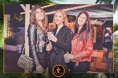 VIPERA - TROPICAL - ANDREA CERIOLI - 30/04/2019