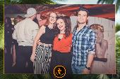 VIPERA - TROPICAL - ANDREA CERIOLI - 30/04/2019