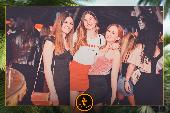 VIPERA - TROPICAL - ANDREA CERIOLI - 30/04/2019