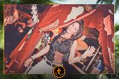 VIPERA - TROPICAL - ANDREA CERIOLI - 30/04/2019