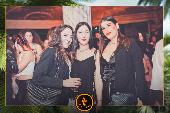 VIPERA - TROPICAL - ANDREA CERIOLI - 30/04/2019