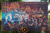 VIPERA - TROPICAL - ANDREA CERIOLI - 30/04/2019