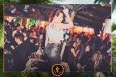 VIPERA - TROPICAL - ANDREA CERIOLI - 30/04/2019