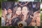 VIPERA - TROPICAL - ANDREA CERIOLI - 30/04/2019