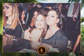 VIPERA - TROPICAL - ANDREA CERIOLI - 30/04/2019
