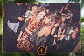 VIPERA - TROPICAL - ANDREA CERIOLI - 30/04/2019
