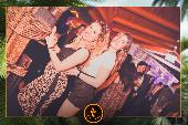 VIPERA - TROPICAL - ANDREA CERIOLI - 30/04/2019