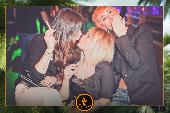 VIPERA - TROPICAL - ANDREA CERIOLI - 30/04/2019