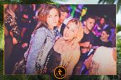 VIPERA - TROPICAL - ANDREA CERIOLI - 30/04/2019