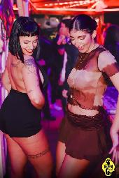 VIPERA - CULT TUESDAY - 30/12/2025