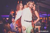 VIBE - HALLOWEEN 2021 - Circo Nero - 31/10/2021