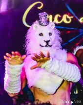 BOCCACCIO CAPODANNO - 31/12/2025